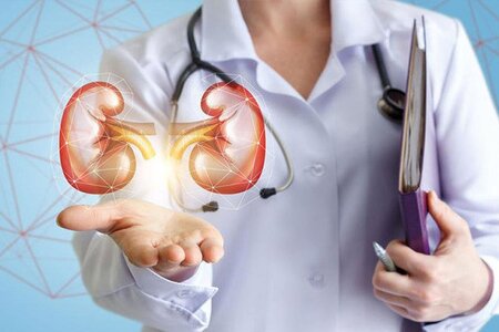 <span style="font-weight: bold;">УРОЛОГИЯ</span>