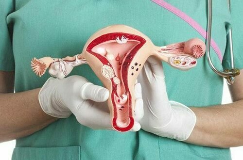 <span style="font-weight: bold;">ГИНЕКОЛОГИЯ</span><br>